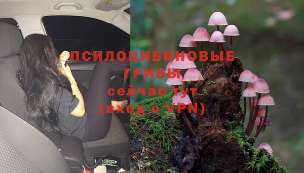 кокаин колумбия Алзамай