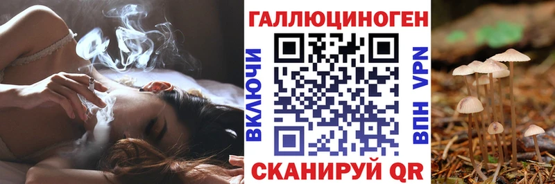 Псилоцибиновые грибы GOLDEN TEACHER Лермонтов